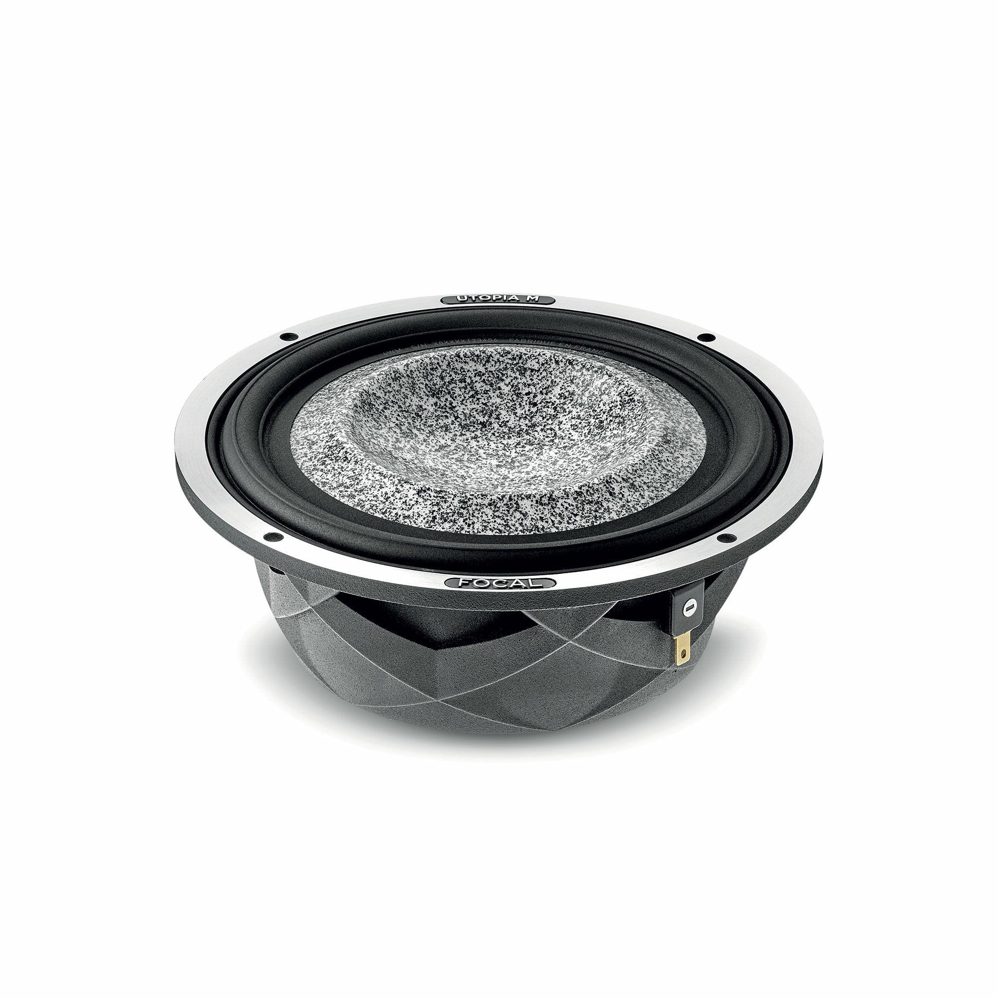 6 WM Focal