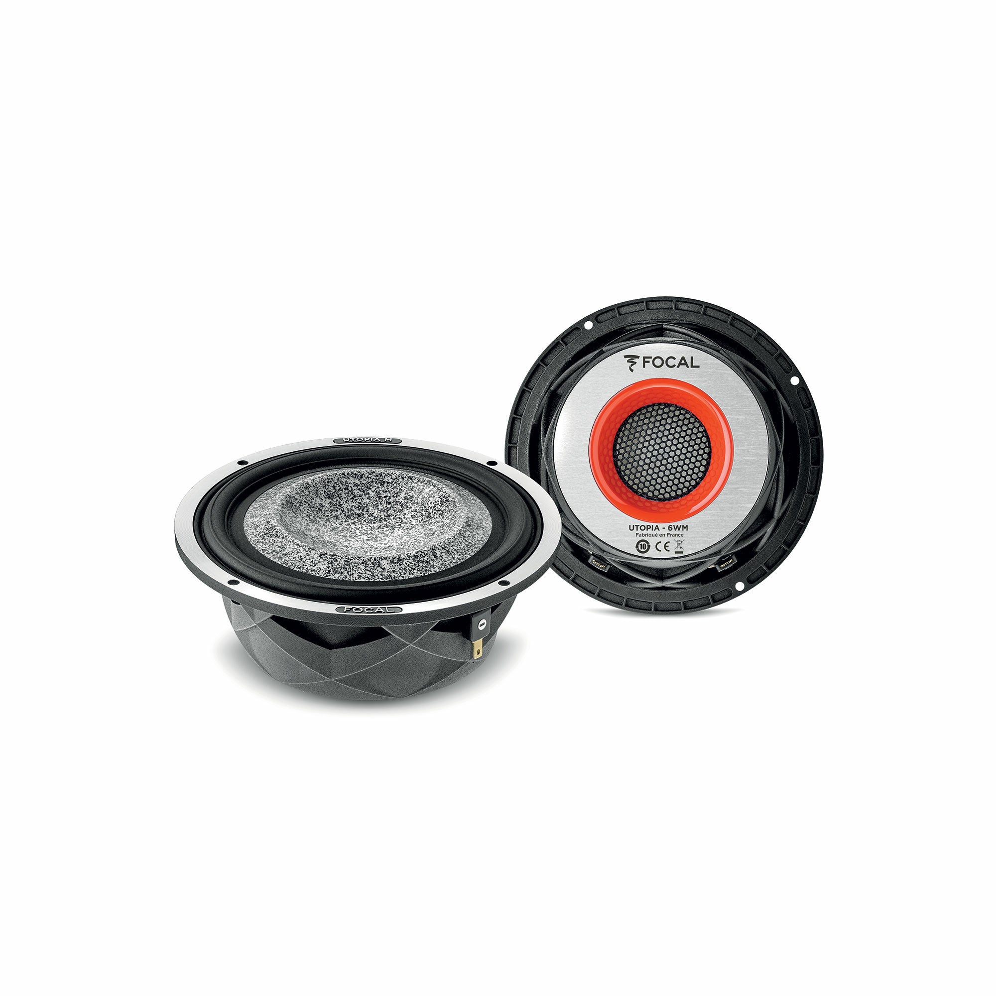 6 WM Focal